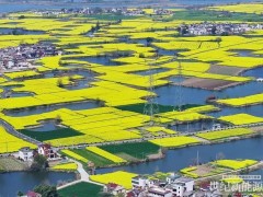 安徽芜湖首个“风光储充”一体化微电网工程投运