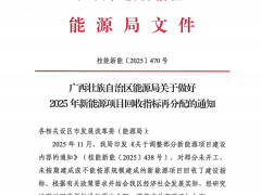 广西3.9GW新能源项目回收指标再分配!