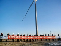 “风”驰电掣！蚌埠市五河县风光储一体化试点项目(风电二期)全容量并网发电！