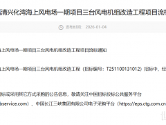 三峡海上风电机组改造项目,流标!