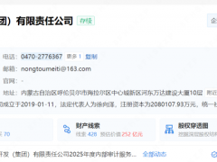 一能源集团增资207倍！