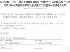 3.20亿元！中天科技拟中标风光同场海上光伏试点项目