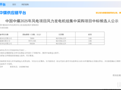 中船科技中标安徽单体最大风电项目