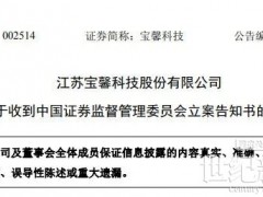 突发立案、业绩暴雷!上市光伏企业再陷“危局”
