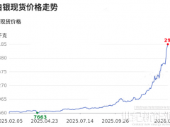 要么去银，要么出局！光伏，如何渡过这场“白银劫”