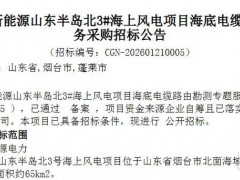 中广核山东600MW海上风电项目相关招标