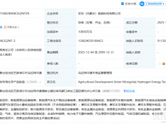 央国企、上市龙头，亿元成立氢能新公司！