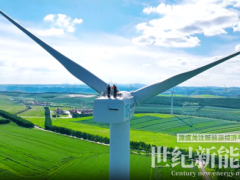 十年风场叶片质量问题爆雷,上亿损失谁来埋单?