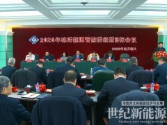 开局即决战，起步即冲刺！林洋能源锚定2026经营目标，凝聚全球化高质量发展强劲合力！