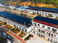 从建议到实践：隆基以“光伏+”探索乡村振兴新路径