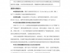 璞泰来拟超20亿元投建马来西亚负极基地
