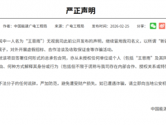 六大乱象曝光！储能行业谁在“造假”？