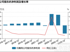 利润下滑、投资失败，光伏龙头很焦虑