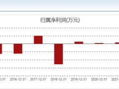 火速易主背后，是“滁州首富”谋求“金蝉脱壳”？
