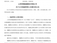 美锦氢能七年：高管频辞，业绩连亏！