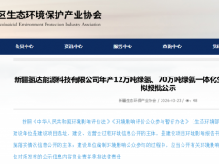 41.9亿！新疆70万吨绿氨项目公示