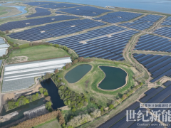 天合光能助力英国最大光储项目荣获IJGlobal“年度杰出光伏交易”大奖