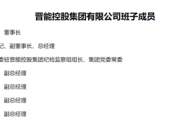 能源巨头董事长调整