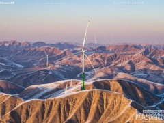 全球最大风光同场项目诞生记