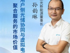 虚拟电厂怎么玩?储售一体谁为主?4月23日,相约广州专场沙龙,聊一聊电力变革下破局的核心