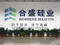 砸270亿建厂，三年后产能利用率仍为0！“硅王”肠子悔青