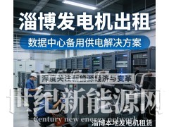 淄博洗车设备发电机出租图3