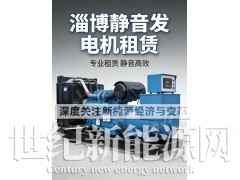 淄博洗车设备发电机出租图2