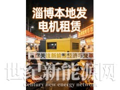 淄博洗车设备发电机出租图4