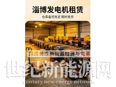 淄博洗车设备发电机出租图5