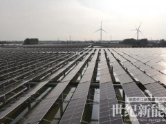 深能南控风光氢储一体化项目成功并网