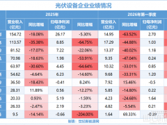 短视逐利？中国光伏“军火商”不要自毁“长城”