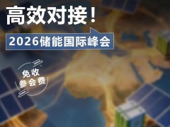 内卷杀穿、产能过剩！SNEC 这场峰会，帮光储人找破局出路