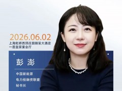 嘉宾 | 中国新能源电力投融资联盟秘书长彭澎 出席世纪光储大会