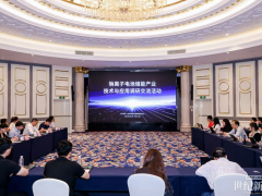 上下游协同创新提速 钠离子电池储能驶入规模化应用快车道