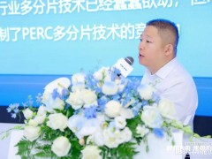 发电顶配+防火王者!英利熊猫“全家桶”硬控SNEC