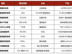 效率突围战!通威、爱旭、中环、华为霸榜SNEC,全赛道冠军揭晓