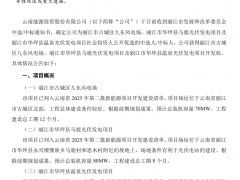 云南能投拿下230MW风光项目开发权!