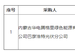 华电腾格里800万千瓦光伏项目一期零碳工地光伏阵列安拆改造项目成交结果公示