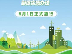 8月1日正式实施!可再生能源制氢氨醇等综合利用设消费最低比重