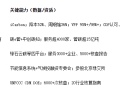 碳中和服务商怎么选?5家主流机构能力拆解与场景匹配