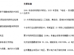电网支撑技术企业实践样本:阳光电源依托全链条技术夯实新能源并网安全根基