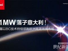 71MW落子意大利！隆基以BC技术持续领跑欧洲高效光伏市场
