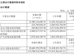 储能出货暴涨188%！300亿龙头半年报里的“减亏密码”