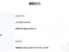 扭亏为盈的硅王，为何连5万都“还不起”？沦为被执行人