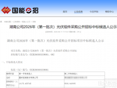 一湖一山，全域适配！晶科飞虎3实力中标国家能源湖南公司两大光伏项目