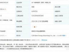 中广核成立新能源公司