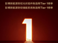 隆基再获BNEF光储双Tier 1，持续领跑全球新能源第一梯队