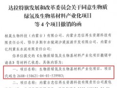 撤销！内蒙古6.5万吨绿氢项目