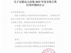 喜报|林洋智维获评安徽电力市场AA级售电公司