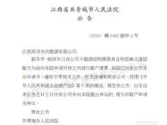 又一家光伏企业被申请破产清算